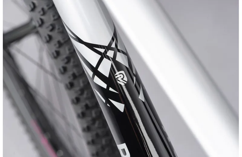 Ridgeback Terrain 1 Mountain Bike in Silver-8